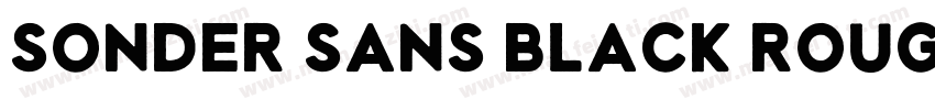 Sonder Sans Black Rough字体转换